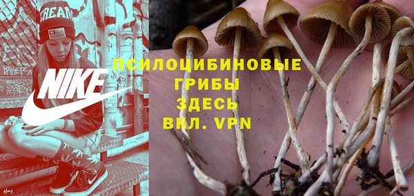 МДПВ Волоколамск