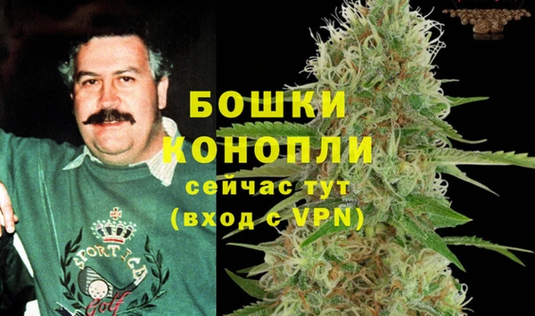 МДПВ Волоколамск