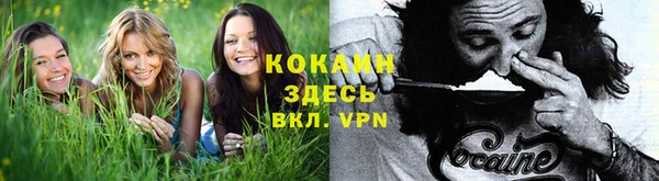 МДПВ Волоколамск