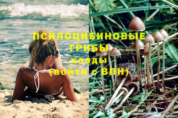 МДПВ Волоколамск